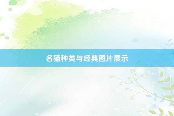 名猫种类与经典图片展示